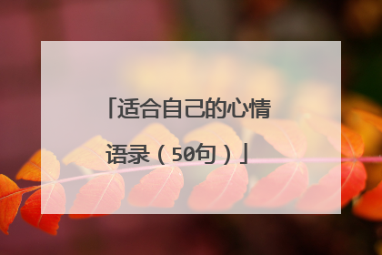 适合自己的心情语录(50句)