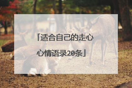 适合自己的走心心情语录20条