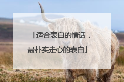 适合表白的情话,最朴实走心的表白