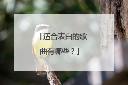 适合表白的歌曲有哪些?