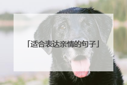 适合表达亲情的句子