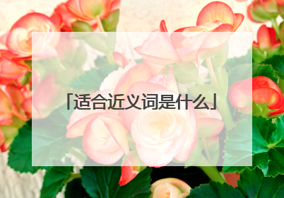 适合近义词是什么