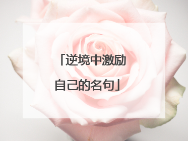 逆境中激励自己的名句