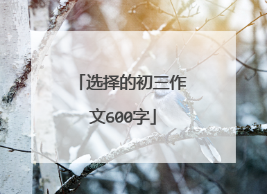 选择的初三作文600字