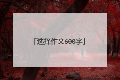 选择作文600字