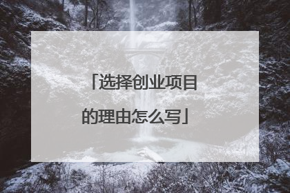 选择创业项目的理由怎么写