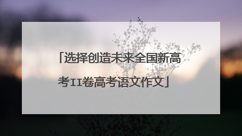 选择创造未来全国新高考II卷高考语文作文