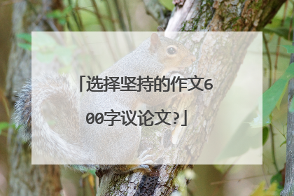 选择坚持的作文600字议论文?