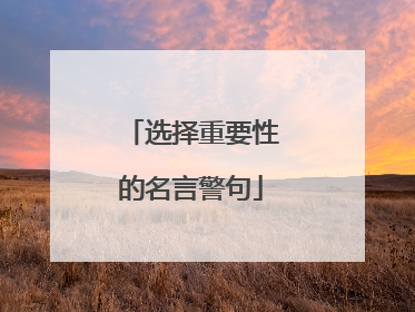 选择重要性的名言警句