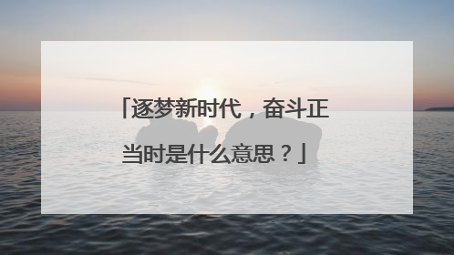 逐梦新时代，奋斗正当时是什么意思？