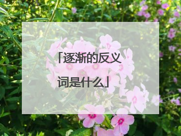 逐渐的反义词是什么