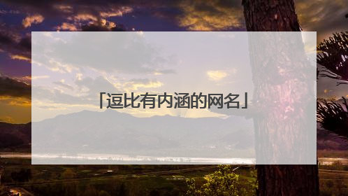 逗比有内涵的网名