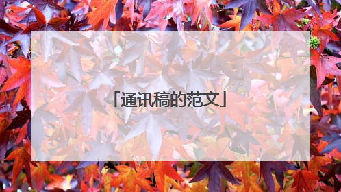通讯稿的范文