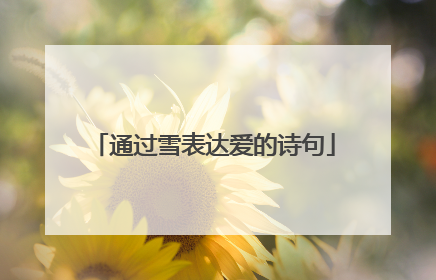 通过雪表达爱的诗句