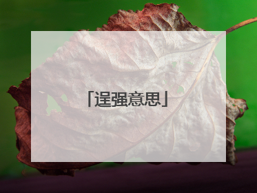 逞强意思
