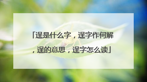 逞是什么字,逞字作何解,逞的意思,逞字怎么读