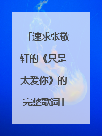 速求张敬轩的《只是太爱你》的完整歌词