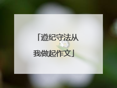 遵纪守法从我做起作文