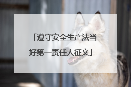 遵守安全生产法当好第一责任人征文