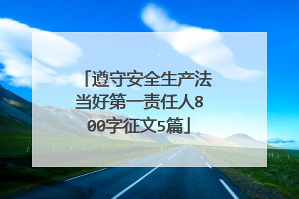 遵守安全生产法当好第一责任人800字征文5篇