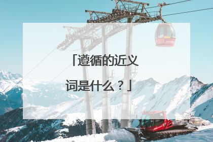 遵循的近义词是什么?