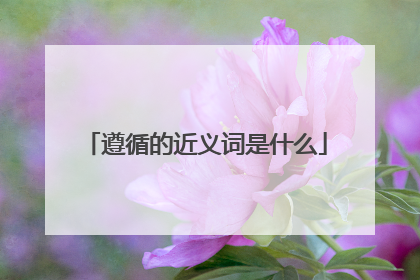 遵循的近义词是什么