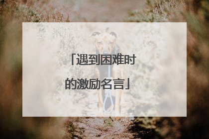 遇到困难时的激励名言