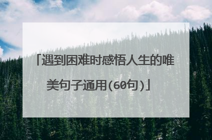 遇到困难时感悟人生的唯美句子通用(60句)