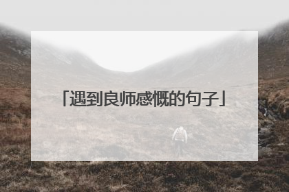 遇到良师感慨的句子