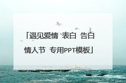 遇见爱情 表白 告白 情人节 专用PPT模板
