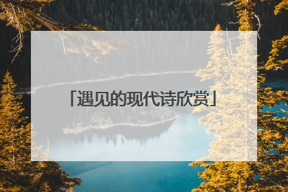 遇见的现代诗欣赏