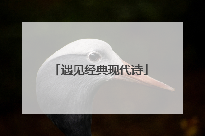 遇见经典现代诗