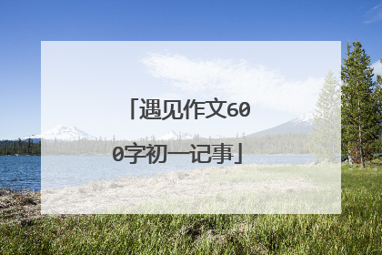 遇见作文600字初一记事