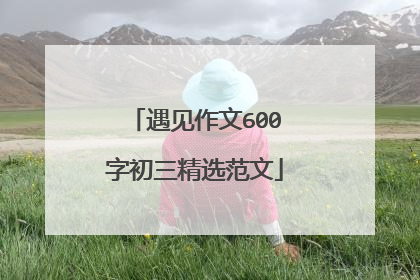 遇见作文600字初三精选范文