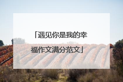 遇见你是我的幸福作文满分范文