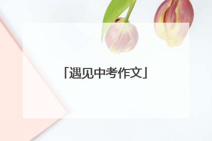 遇见中考作文