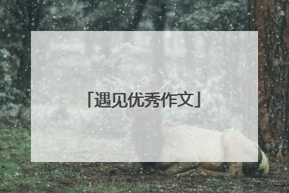 遇见优秀作文