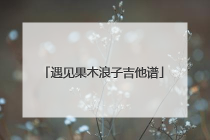 遇见果木浪子吉他谱