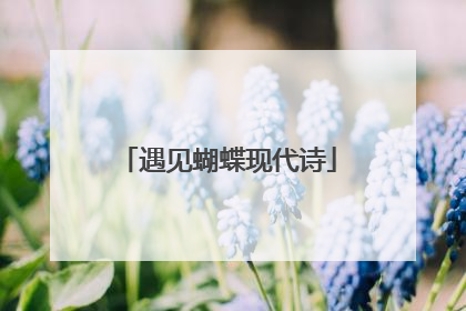 遇见蝴蝶现代诗