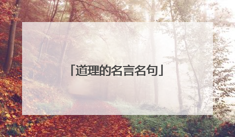 道理的名言名句