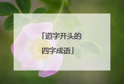 道字开头的四字成语