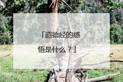 道德经的感悟是什么?