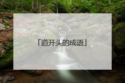 道开头的成语
