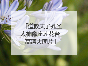 道教夫子孔圣人神像座莲花台高清大图片