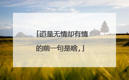 道是无情却有情 的前一句是啥,