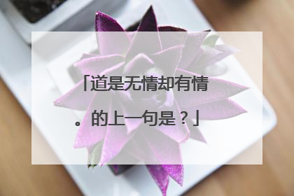道是无情却有情 。的上一句是?