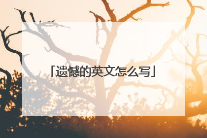 遗憾的英文怎么写