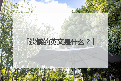 遗憾的英文是什么？