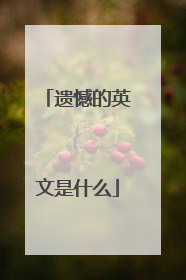 遗憾的英文是什么