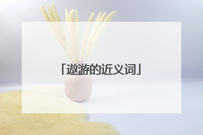 遨游的近义词